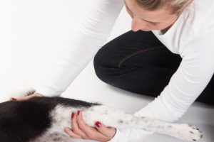 ebfizio-fizioterapia19