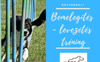 Bemelegítés – levezetés tréning